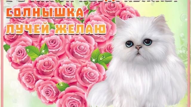 Поздравляю С 8 Марта?Самое красивое поздравление?Международный женский день?С Праздником 8 марта