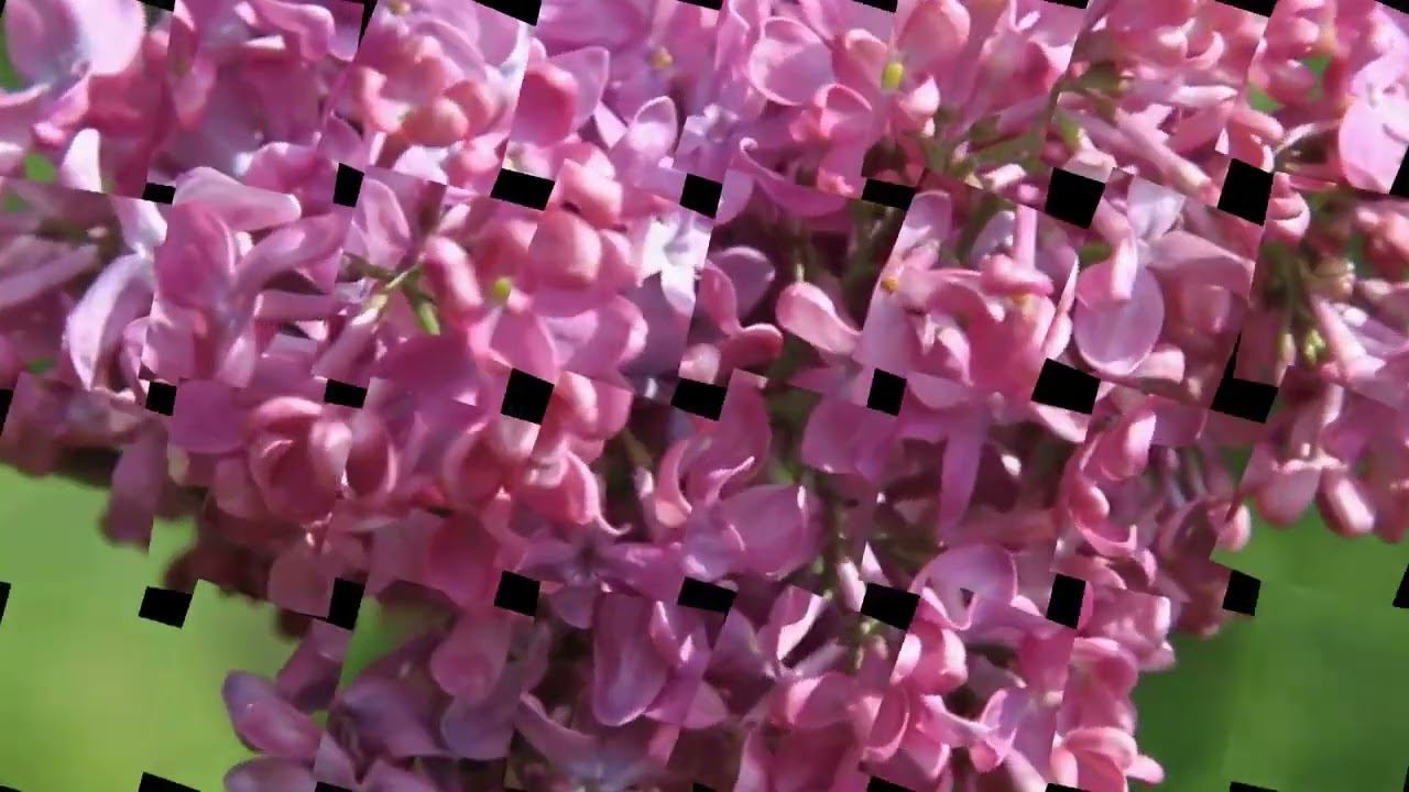 МУЗЫКА МАЯ.. Мелодекламация Н.ЖУКОВА,  видео А.Лазарева