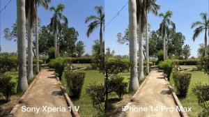 Sony Xperia 1 V vs iPhone 14 Pro Max Camera Test
