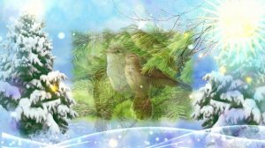 РАССКАЗЫ СКРИПИЧНОГО КЛЮЧА. № 3. ЧЬЯ ПЕСНЯ ЛУЧШЕ. Голоса птиц. О музыке и музыкантах.