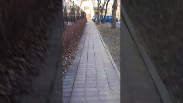 Заброшенный Cyfral CCD-20 на калитке смотреть онлайн