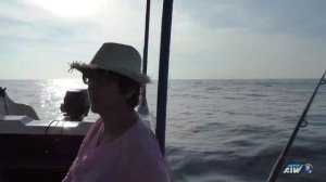 Бронированная рыба - что с ней делать? | Глубоководная рыбалка | Унаватуна | Шри-Ланка