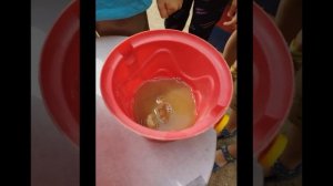 Экспериментируем с глиной и водой. Добыча глины в "природной мастерской"