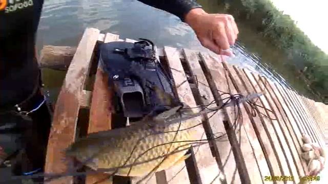 Подводная охота смотреть онлайн