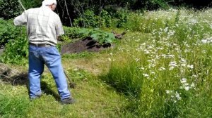 Как правильно косить (не иди коса на камень)