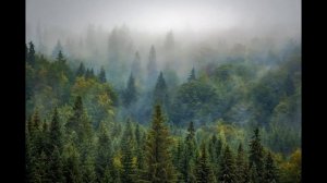Эта Музыка Будет Вечной. Очень Красивая и Нежная Музыка для Расслабления Души. асмр