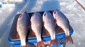 Я В ШОКЕ!!! ПЛОТВА ПО ПОЛКИЛО только на НЕЕ. Зимняя рыбалка.