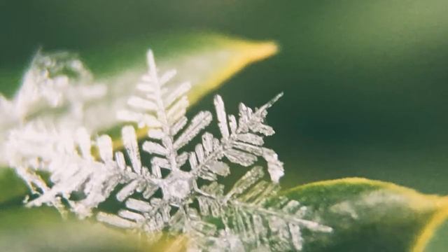 Dance "Eu sou uma rainha!" Танец "Я королева!" смотреть онлайн