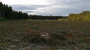 300 метров. Сайга 308-1, исполнение 46.