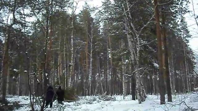 Моя делянка. Валим лес.