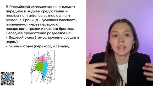 Средостение