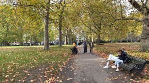 England, Central London Autumn Walk | Relaxing Walking tour in St James’s Park, Green Part [4K HDR]