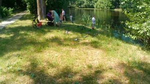 Летят утки и два гуся