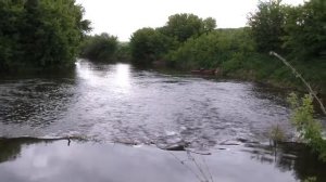 ЕЛЕЦ - рыбалка на реке БЫСТРАЯ СОСНА