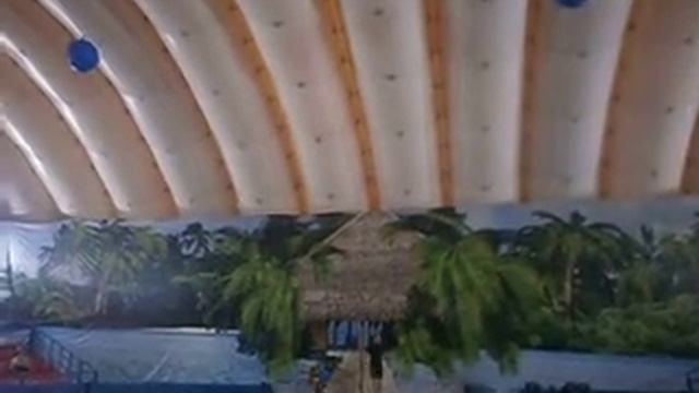 дельфины прыгают и пинают смотреть онлайн