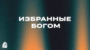 Избранные Богом | Роман Кучерук | Моя Церковь