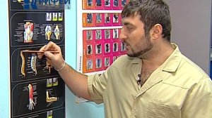 Минута здоровья   Ушиб копчика от 20 02 13