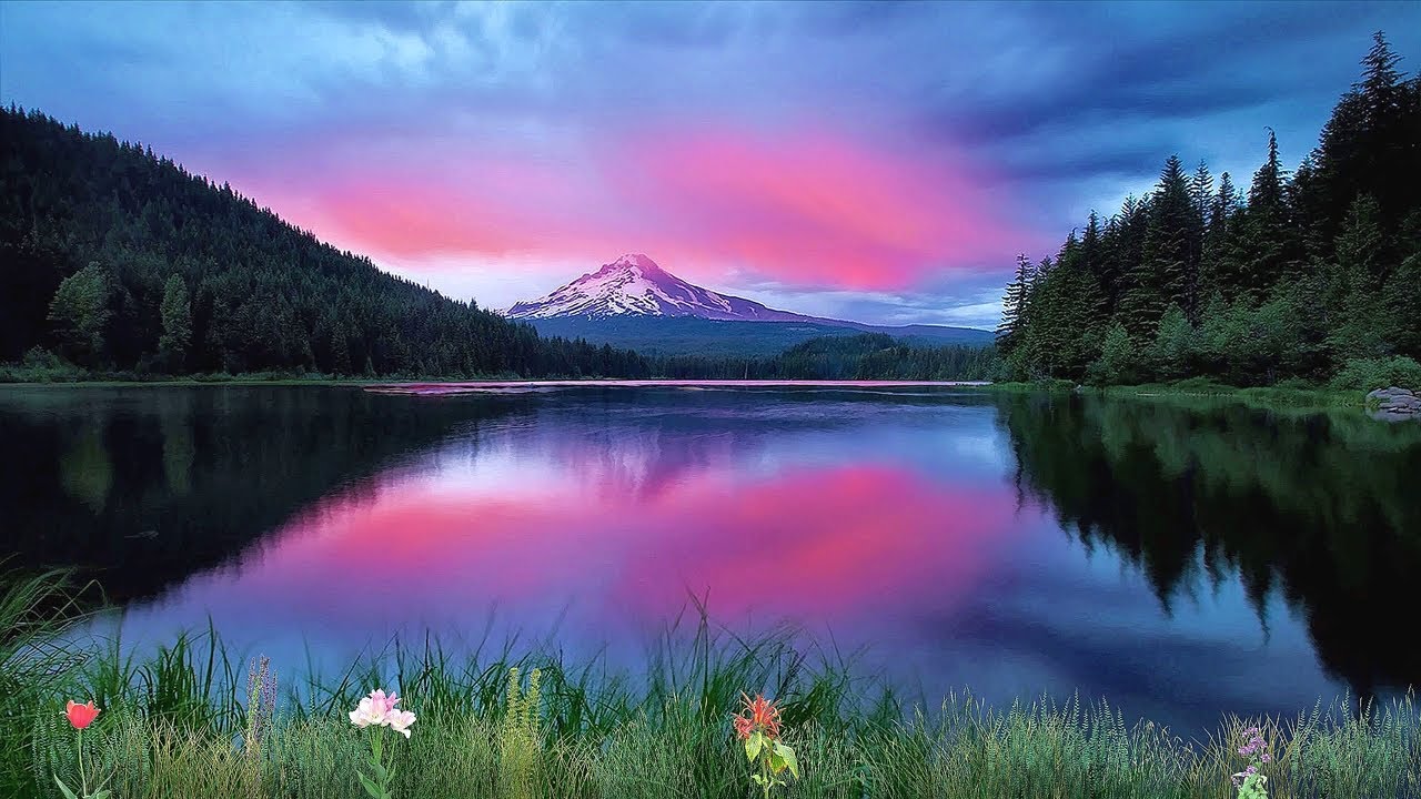 ? Успокаивающая Музыка для Сна ? избавит от Бессонницы ? поможет Расслабиться ? Лечебная Музыка смотреть онлайн