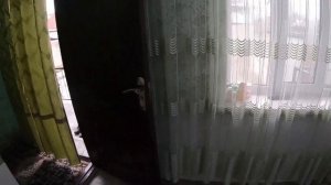Хонаи фуруши дар Душанбе 2023 | Продаётся Дом в Душанбе | Dushanbe City