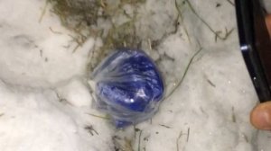 Ставропольские полицейские вычислили банду закладчиков