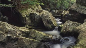 Весенняя песня