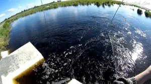 Рыбалка на ПАУК (подъемник). СУПЕР удачный заброс! Я был в шоке от такой удачи! ENG SUB