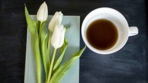 Увидев любимого в компании смазливой блондинки, Мира замерла. У неё чуть земля не ушла из-под ног..