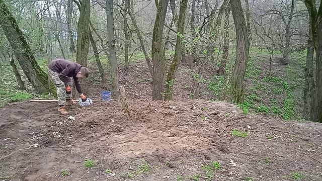Грядки Хольцера сажаю КАРТОШКУ в лесу органическое земледелие в лесу