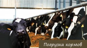 Погрузка кормов