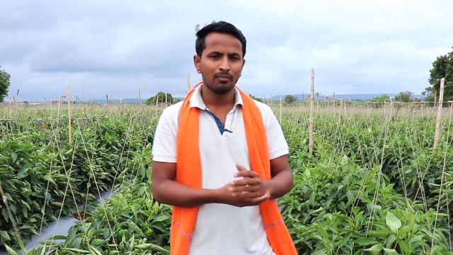 वयरस VIRUS वयरस  Virus Attack and Control all Information in Hindi  Indian Farmer