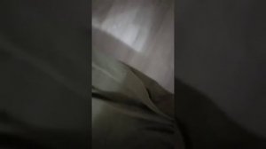 Как соорудить плащ из плащ палатки?