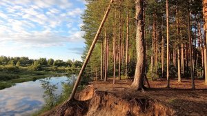 Тверская Медведица