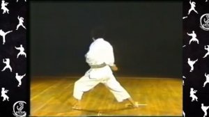 Kata Empi - Mikio Yahara - Karate Shotokan - Bunkai