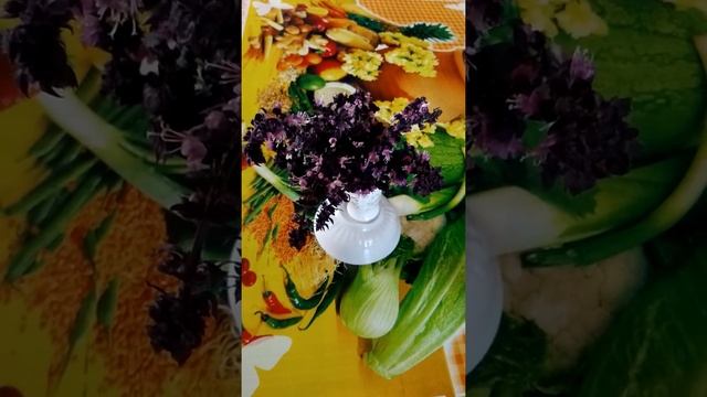 Цветок базилика в букете. (Как цветёт рейхан). смотреть онлайн