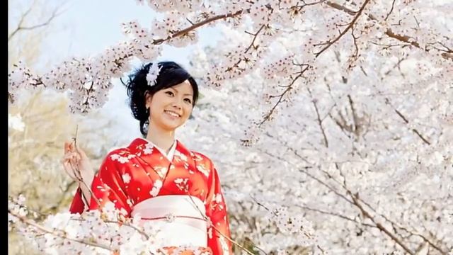 Когда цветёт сакура