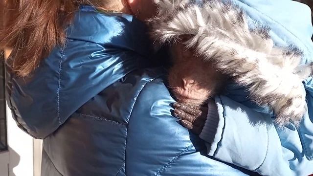 Привезли Гошу в клинику , сдавать анализы крови смотреть онлайн