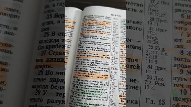 Страх Господень — источник жизни, удаляющий от сетей смерти.Притчи 14:27