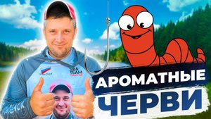 Черви с запахом укропа на леща!