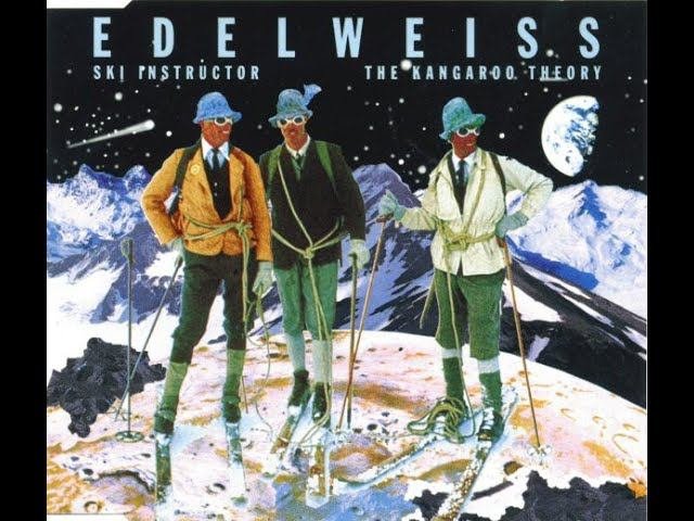 Edelweiss - Ski Instructor