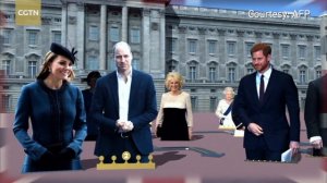 Introducing the British royal family