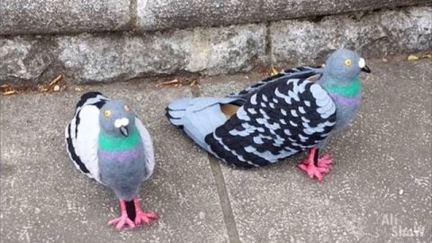 20 НЕОБЫЧНЫЕ И УПОРОТЫЕ ТОВАРЫ с Aliexpress, От Которых Ты Офигеешь Вещи с Aliexpress КОНКУРС