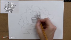 Как нарисовать розу. Учимся рисовать розу карандашом.