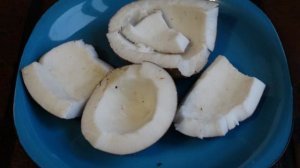 Кокосовая стружка и кокосовое молоко в домашних условиях