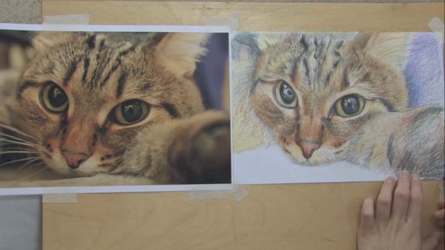 22.7 Рисуем живого котика \ часть 7 смотреть онлайн