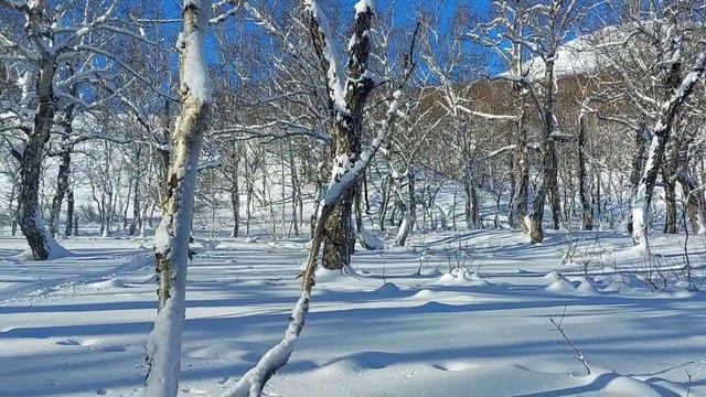 Камчатка. Покатушки выходного дня на снегоходах