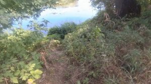 кастинговая сеть испанка 4м