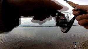 Первый лещ 2018г. на Ириклинском водохранилище