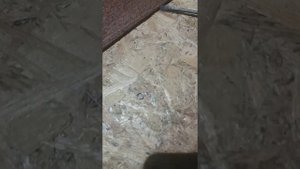 Не открывается дверь с наружной стороны Киа Соренто 2