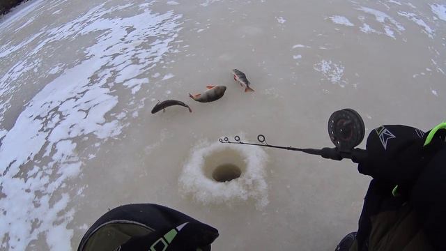 Сегодня Окуни с р Щукурья смотреть онлайн