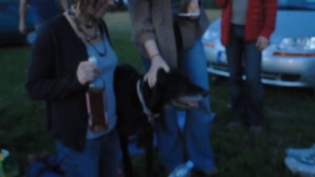 Planewatching ✈ 2 Budapest, Ferihegy 2 смотреть онлайн